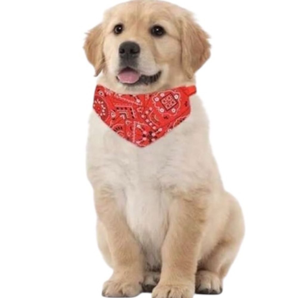 3/BANDANAS ADJUSTABLE PET COLLARS